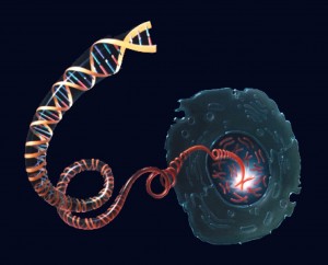 DNA molecule unwinding from a chromosome inside the nucleus of a cell. Source: National Human Genome Research Institute.
